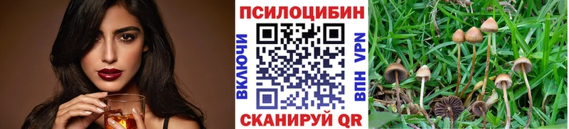 Галлюциногенные грибы Cubensis  Слободской 